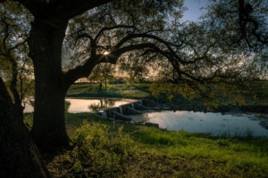 Austin Farm and Ranch Photography - San Antonio 360 Photography