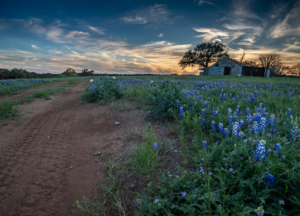 Texas Ranch and Land Photography - San Antonio 360 Photography