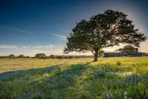Central Texas Ranch Photography - San Antonio 360 Photography